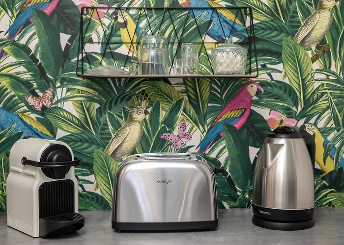 Le Tropicana Proche Aeroport Cdg I Paris I Asterix